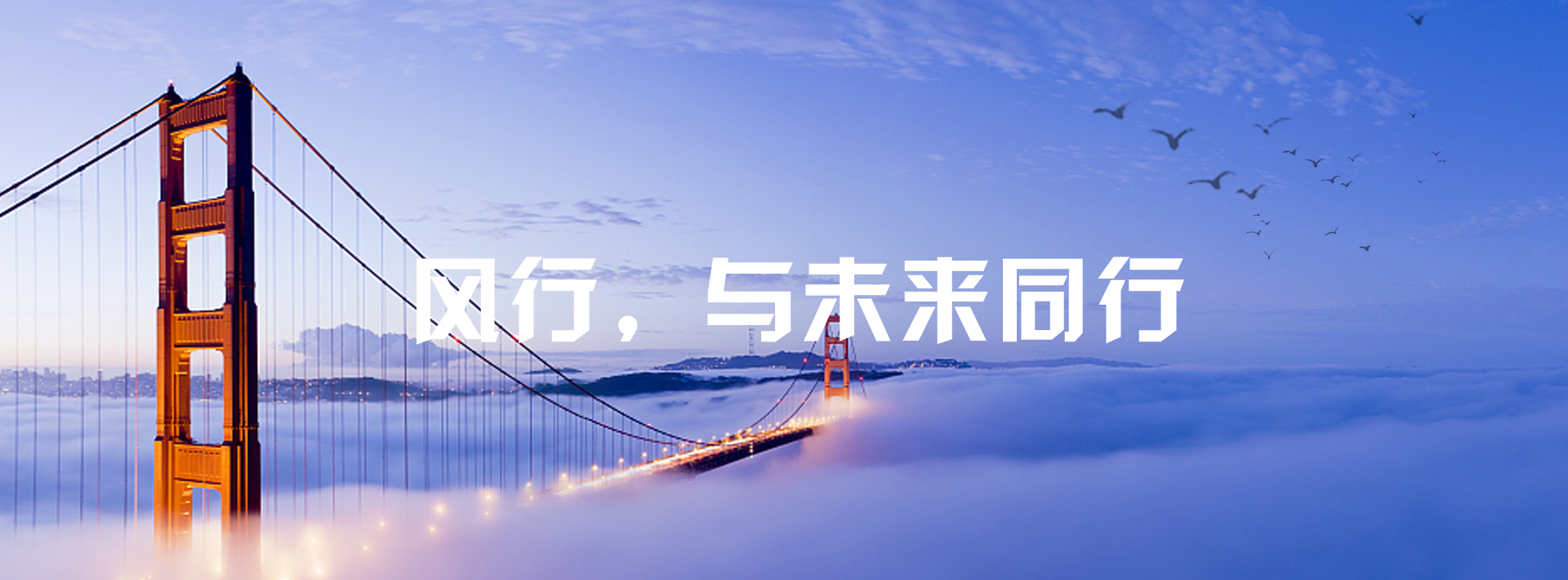 风行科技